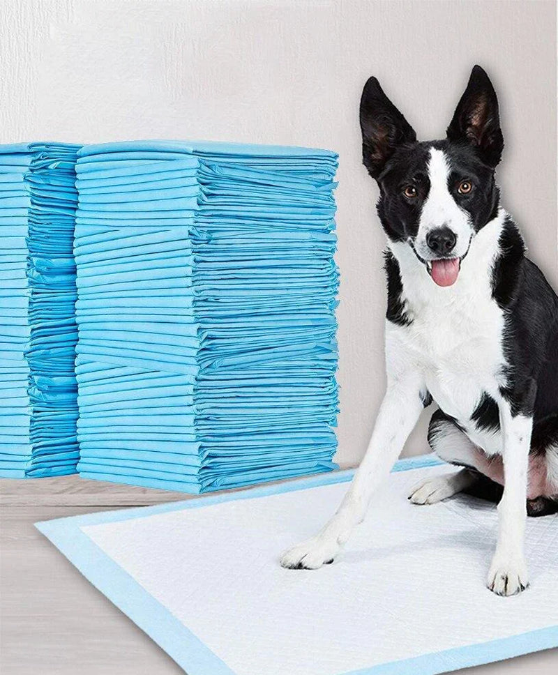 Absorbierende Trainingsunterlage Für Den Innenbereich -  TidyPad