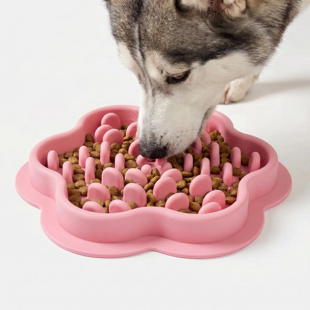Antirutsch-Schlecknapf In Pfotenfom -  PawLicker
