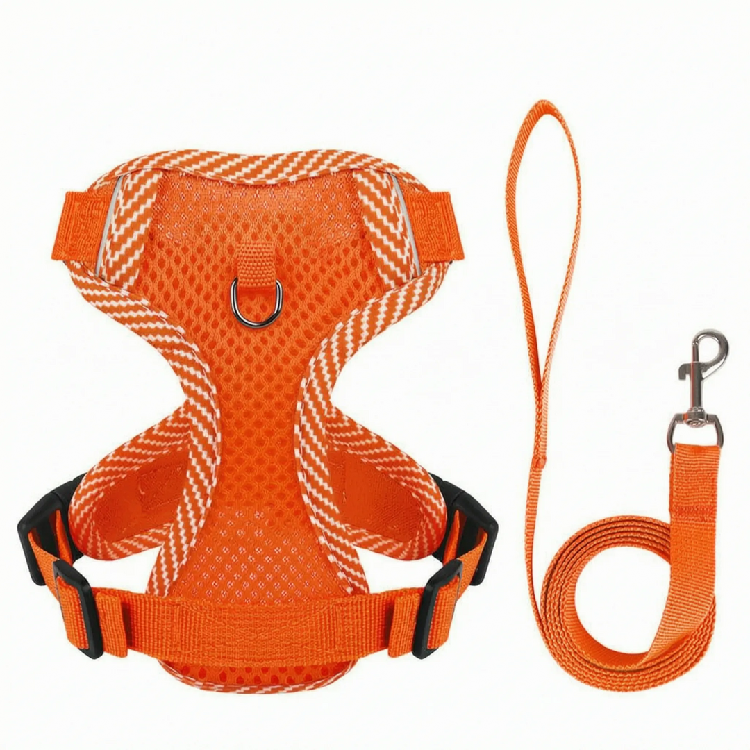 Atmungsaktives Mesh-Hundegeschirr -  Breesy