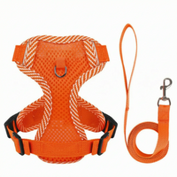 Atmungsaktives Mesh-Hundegeschirr -  Breesy