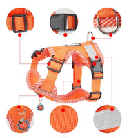 Atmungsaktives Mesh-Hundegeschirr -  Breesy