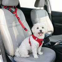 Auto-Hundegurt Für Kopfstützen -  Ridalis
