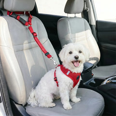 Auto-Hundegurt Für Kopfstützen -  Ridalis