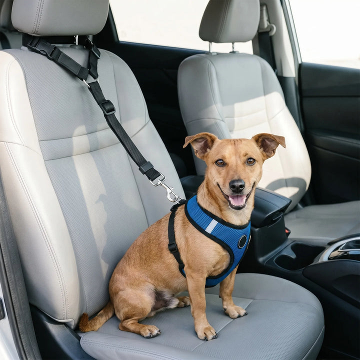 Auto-Hundegurt Für Kopfstützen -  Ridalis