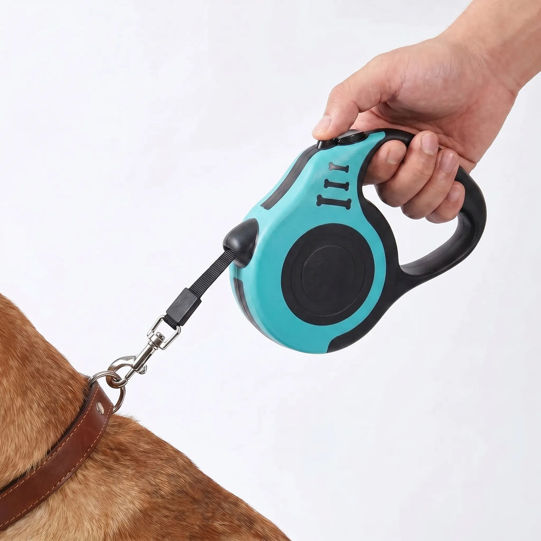 Automatische Einzieh-Hundeleine Für Kleine Hunde -  Leasho