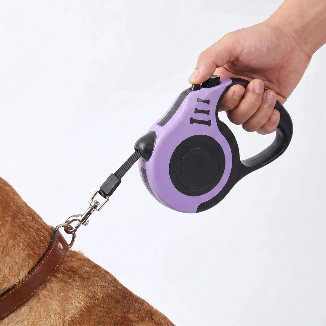 Automatische Einzieh-Hundeleine Für Kleine Hunde -  Leasho