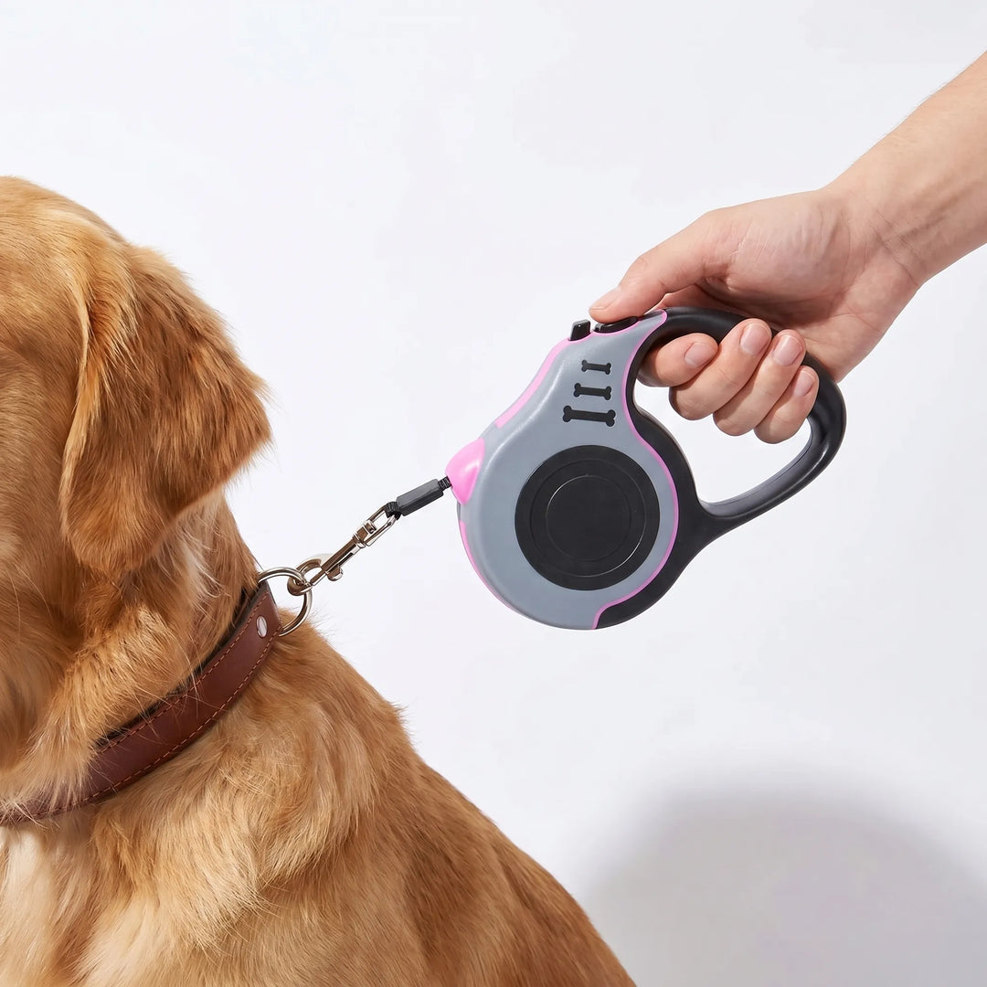 Automatische Einzieh-Hundeleine Für Kleine Hunde -  Leasho