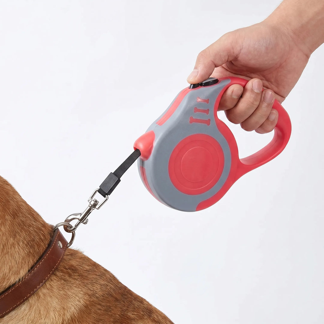 Automatische Einzieh-Hundeleine Für Kleine Hunde -  Leasho