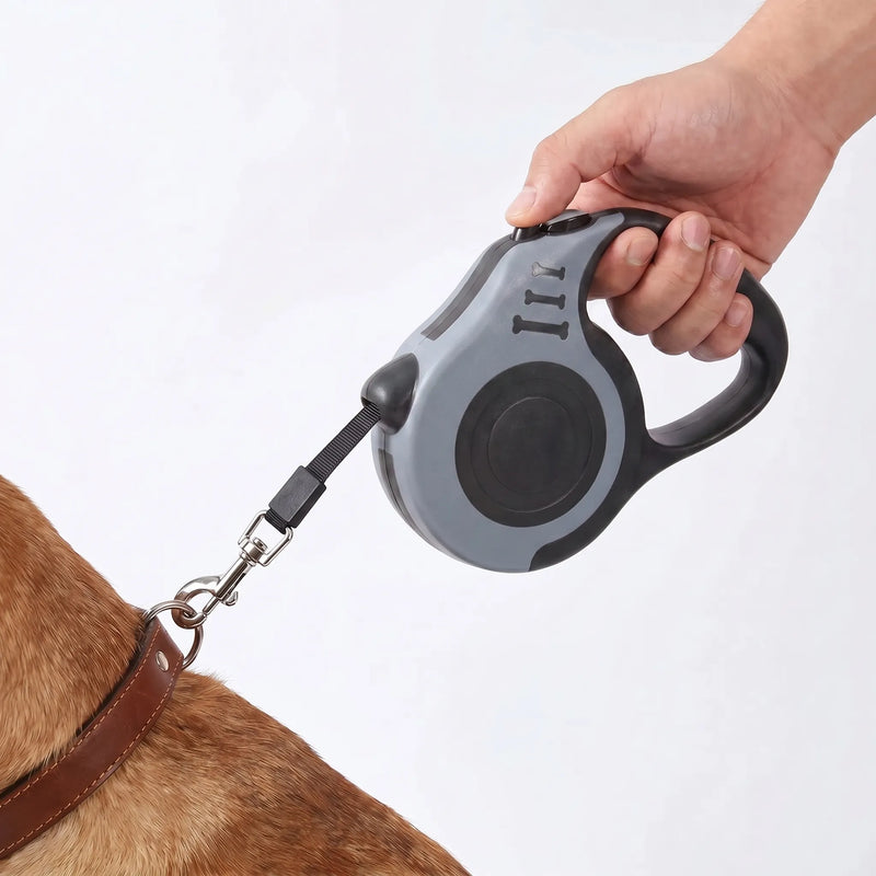 Automatische Einzieh-Hundeleine Für Kleine Hunde -  Leasho