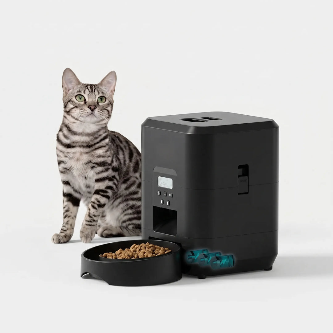 Automatischer Futterautomat Für Katzen Und Hunde -  Feedomatic