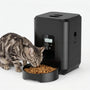Automatischer Futterautomat Für Katzen Und Hunde -  Feedomatic