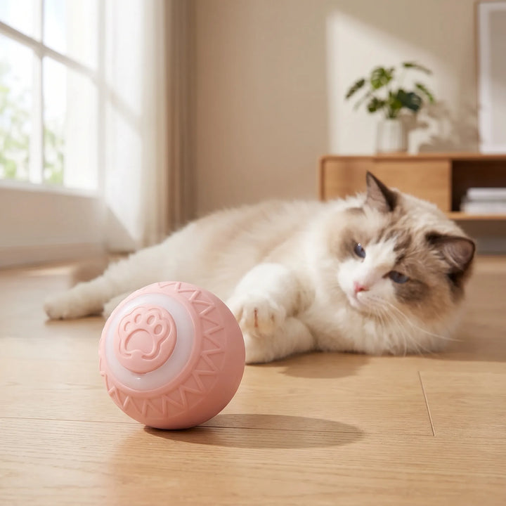 Automatischer Spielball -  Glidra