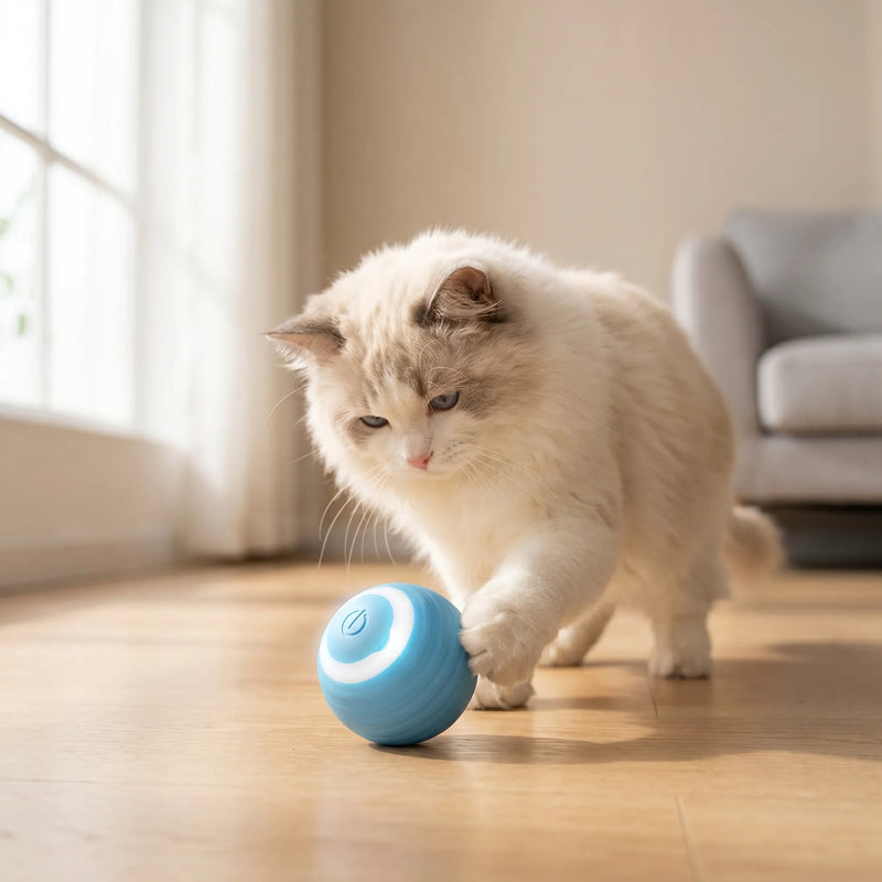 Automatischer Spielball -  Glidra