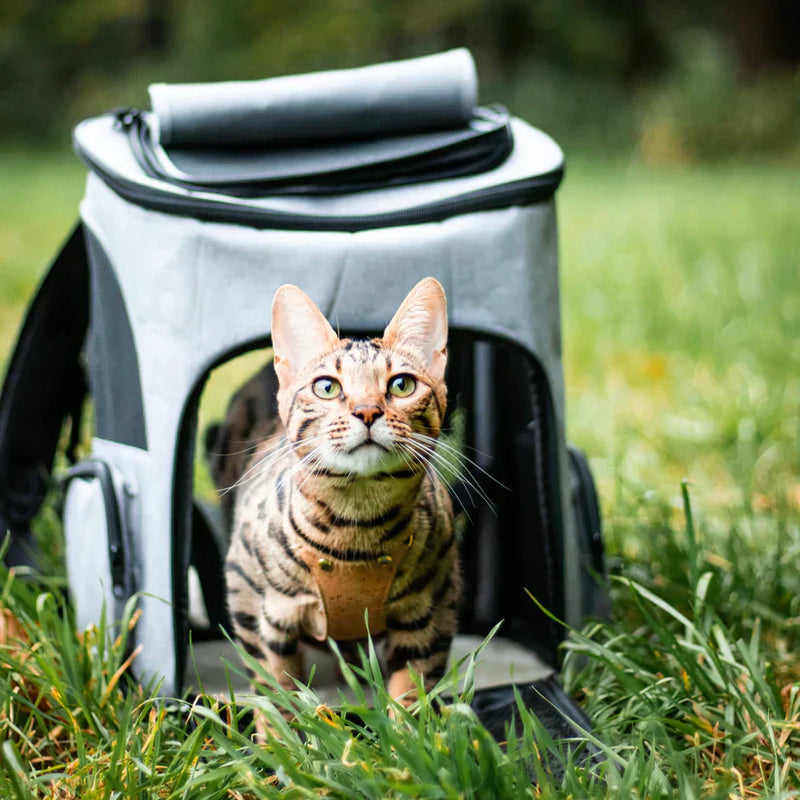 Belüfteter Rucksack Für Katzen -  Hikeva