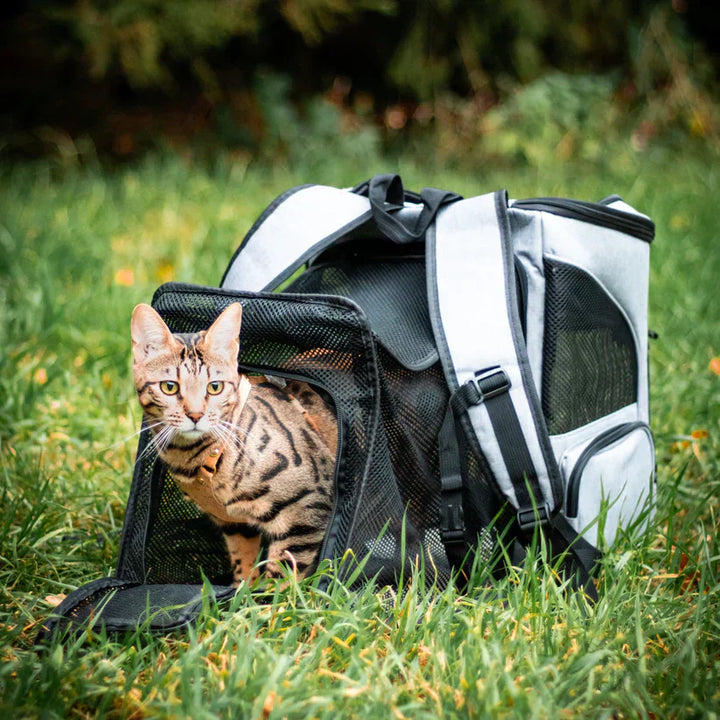 Belüfteter Rucksack Für Katzen -  Hikeva