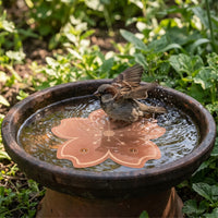 Blumenförmige Reinigungsscheibe Für Vogeltränken -  Florapure
