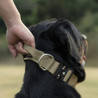 Breites Taktisches Hundehalsband -  Vektan