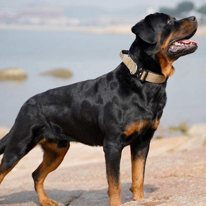 Breites Taktisches Hundehalsband -  Vektan
