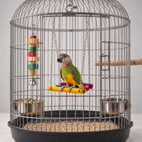 Bunte Hängeschaukel Für Vögel -  Chirpswing