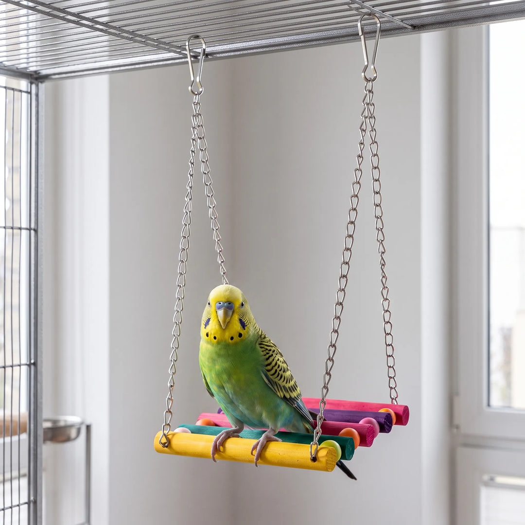 Bunte Hängeschaukel Für Vögel -  Chirpswing