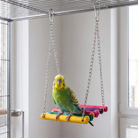 Bunte Hängeschaukel Für Vögel -  Chirpswing