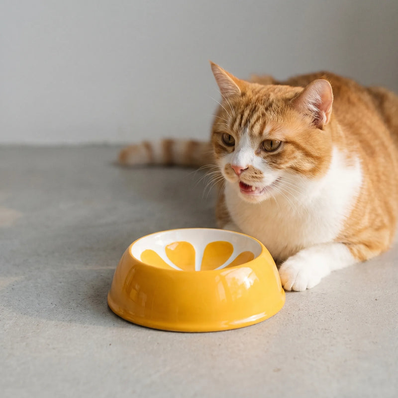 Bunter Futternapf Für Kleintiere -  Snackio