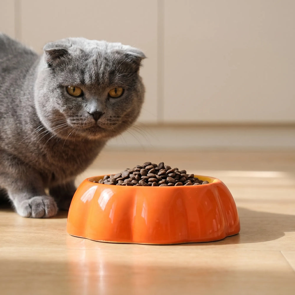 Bunter Futternapf Für Kleintiere -  Snackio