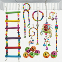 Buntes Vogelspielzeug Set -  Beakplay