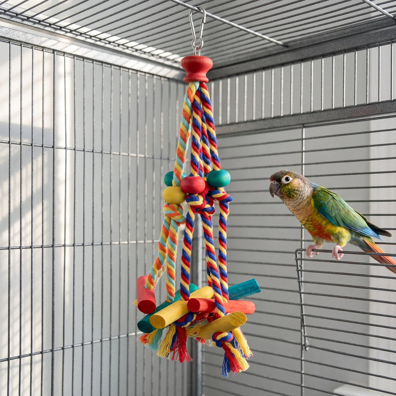 Buntes Vogelspielzeug Zum Aufhängen -  ColorSway