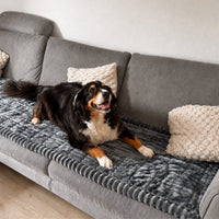 Berner Sennenhund liegt auf einer anthrazitgrauen, gerippten Sofaschutzdecke, die die Sitzfläche eines grauen Sofas bedeckt. 2