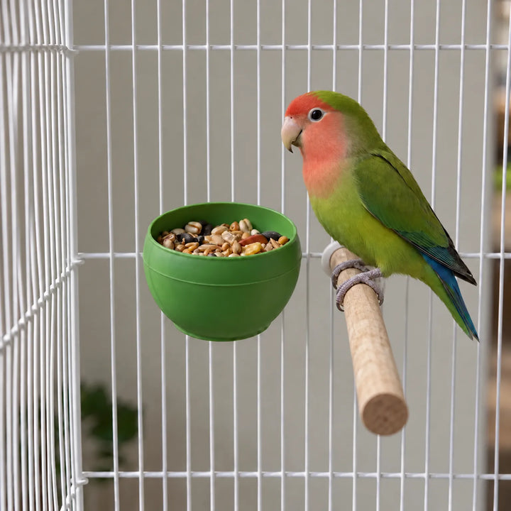 Einhängbarer Futternapf -  BirdBowl