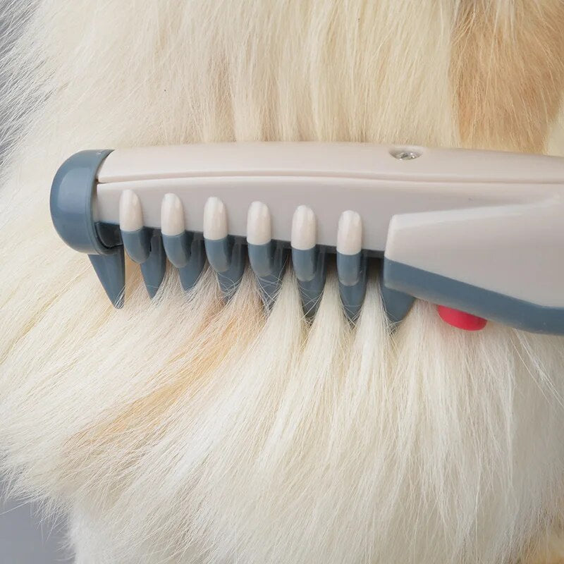 Elektrischer Tierhaartrimmer In Kompaktem Format -  Velomex
