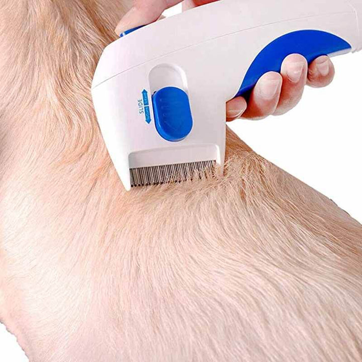 Elektrischer Tierkamm -  Zappira