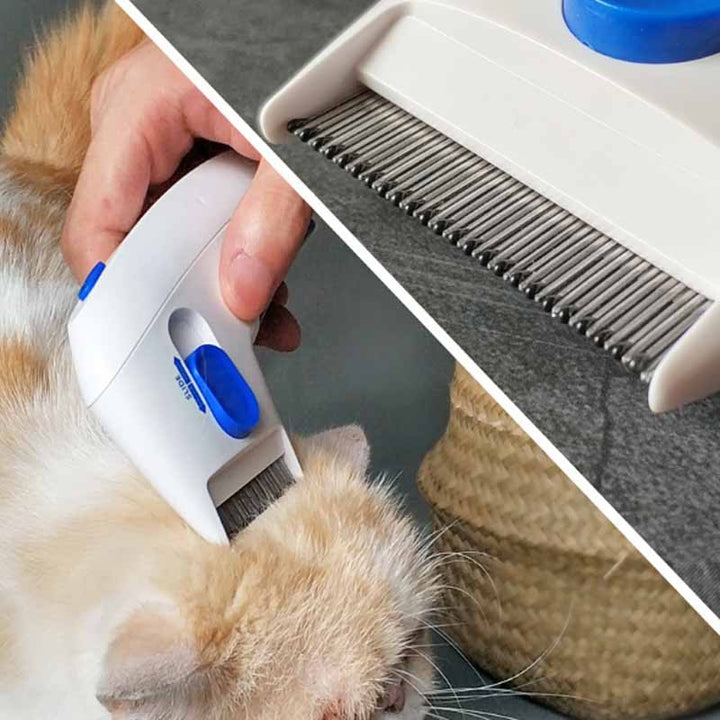 Elektrischer Tierkamm -  Zappira
