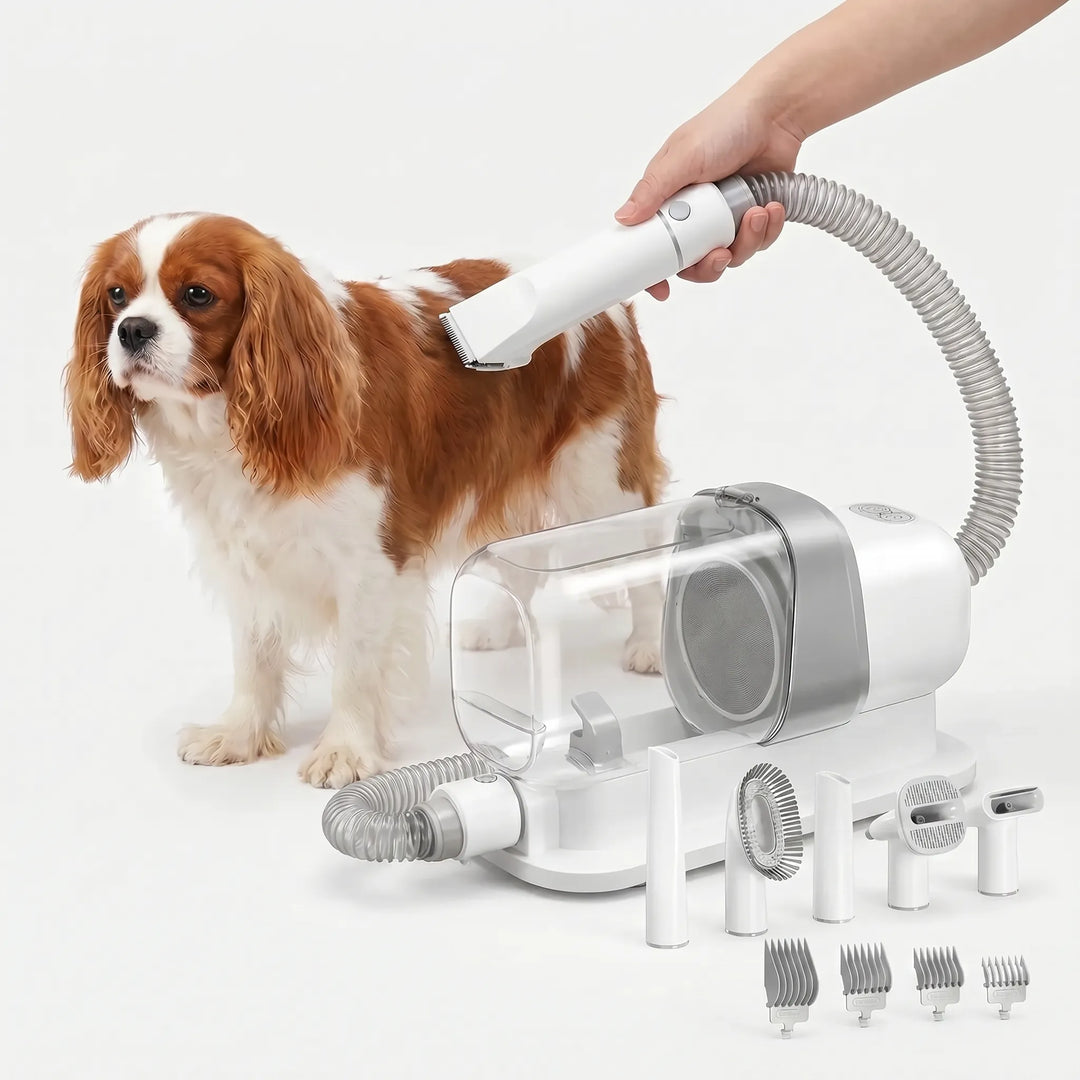 Elektrisches Haustierpflege-Set Mit Staubsauger -  FurSuction