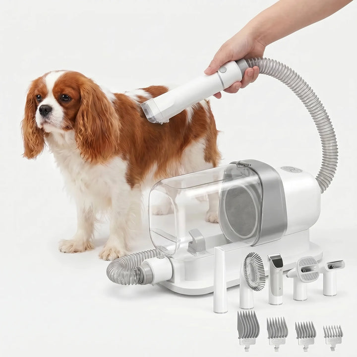 Elektrisches Haustierpflege-Set Mit Staubsauger -  FurSuction