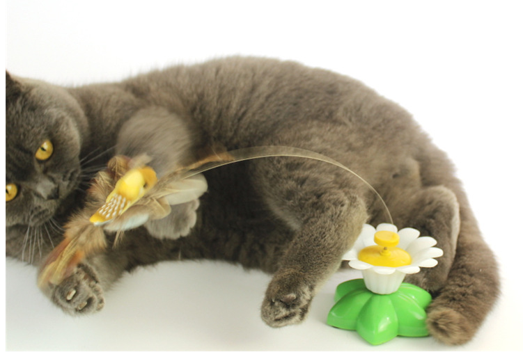 Elektrisches Katzenspielzeug Mit Bewegung -  Flitrix