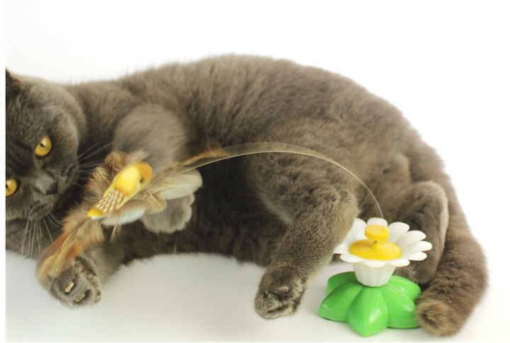 Elektrisches Katzenspielzeug Mit Bewegung -  Flitrix