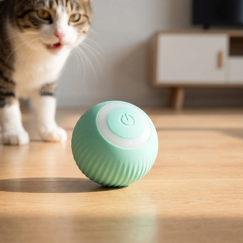 Elektronisches Katzenspielzeug -  Bouncix