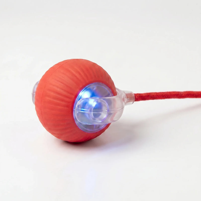 Elektronisches Katzenspielzeug -  Bouncix