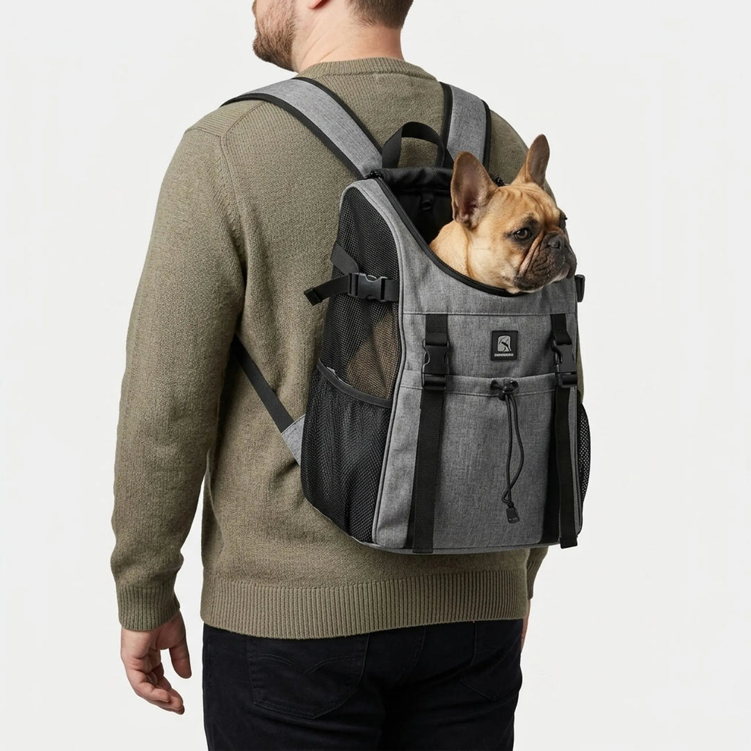 Ergonomischer Hunderucksack Mit Gepolsterten Gurten -  Pawtico