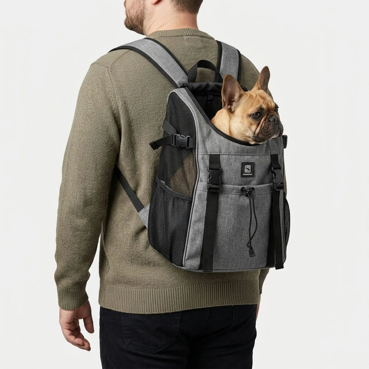 Ergonomischer Hunderucksack Mit Gepolsterten Gurten -  Pawtico