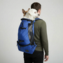 Ergonomischer Hunderucksack Mit Gepolsterten Gurten -  Pawtico