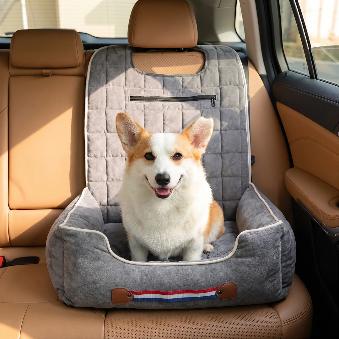 Erhöhter Autositz Mit Sicherheitsleine Für Hunde -  Pawride