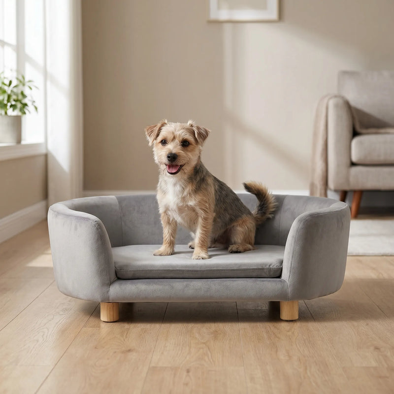 Erhöhtes Haustiersofa -  Loungify