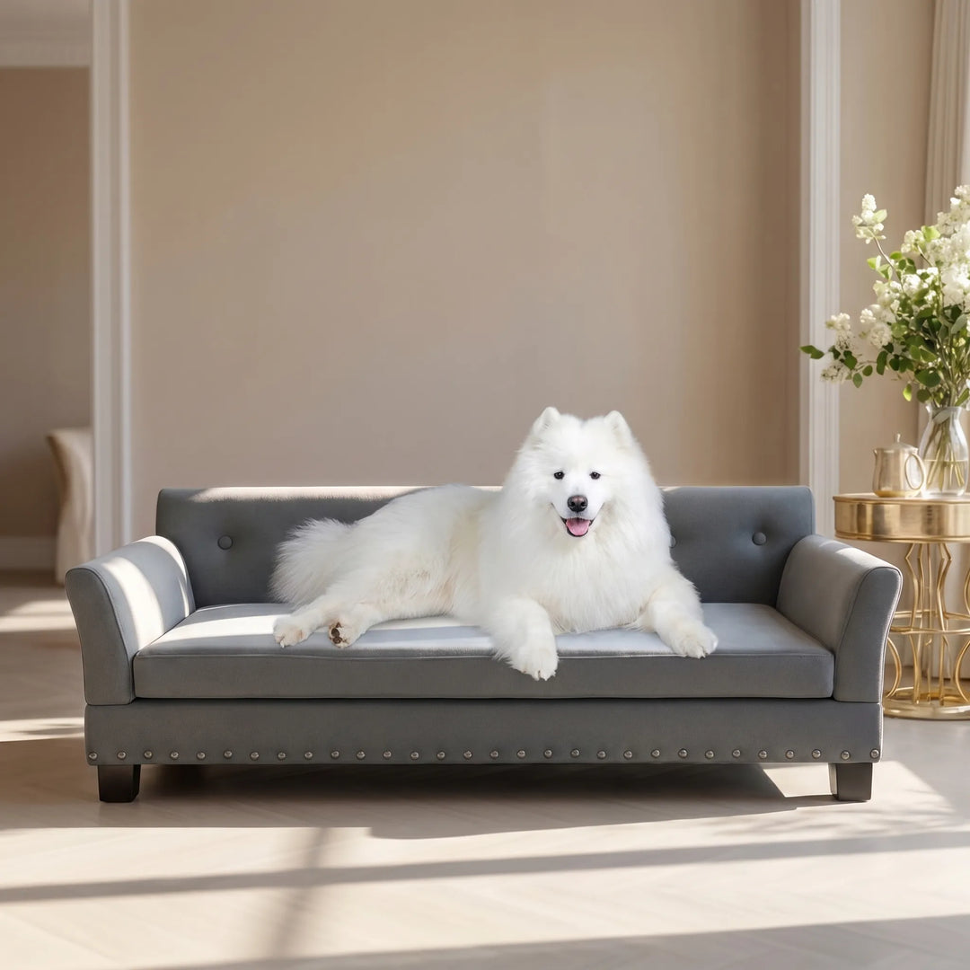 Erhöhtes Haustiersofa Mit Zierkante -  Snoozia