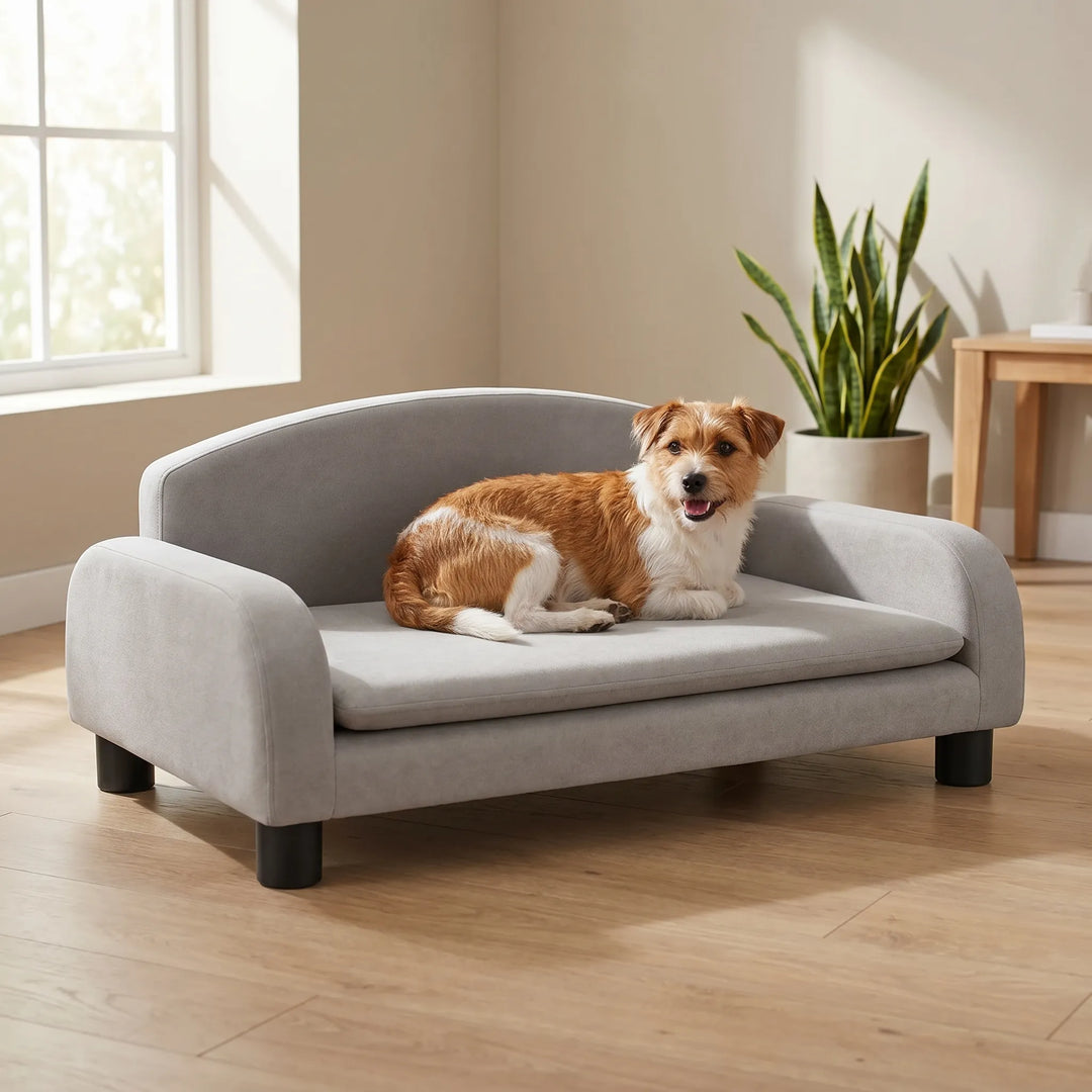 Erhöhtes Hundesofa Im Möbeldesign -  Snoozly