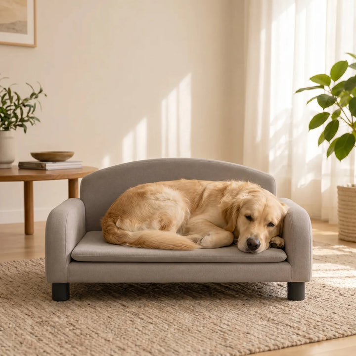 Erhöhtes Hundesofa Im Möbeldesign -  Snoozly