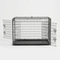 Faltbare Transportbox -  Foldium