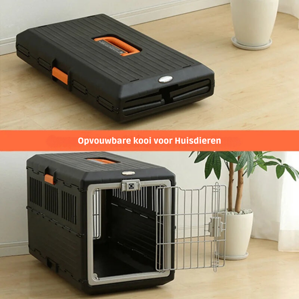 Faltbare Transportbox Für Unterwegs -  Stowix